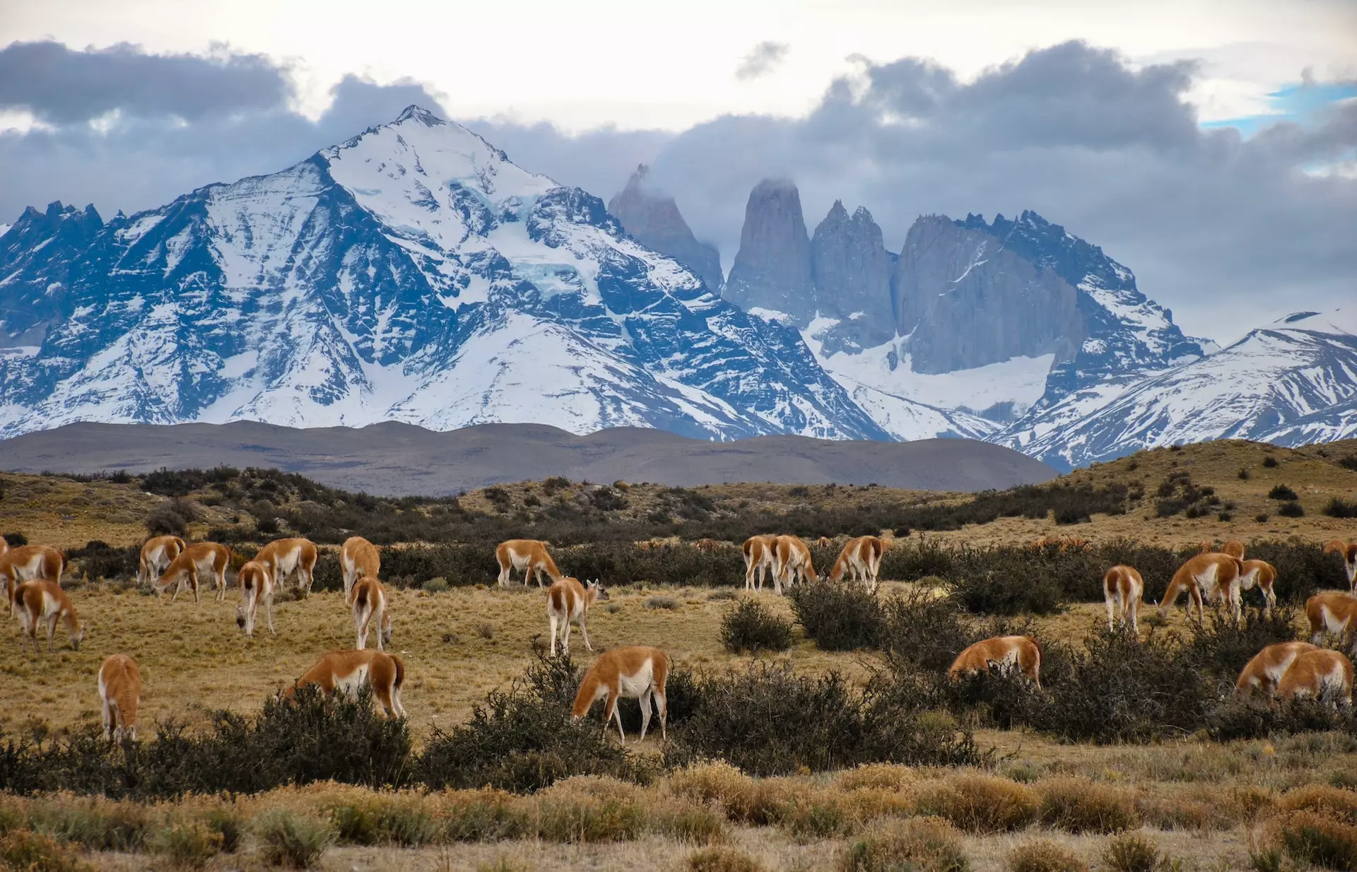 L'indimenticabile esperienza del W Trek al Torres Del Paine (Patagonia)