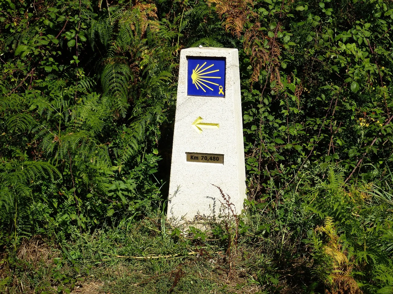 Cammino di Santiago in una settimana | WalkingEurope