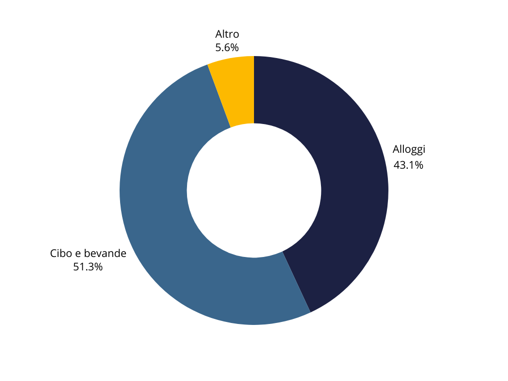 Grafico spese Cammino di Santiago